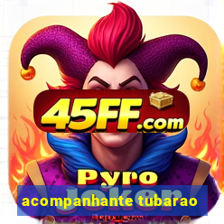 acompanhante tubarao